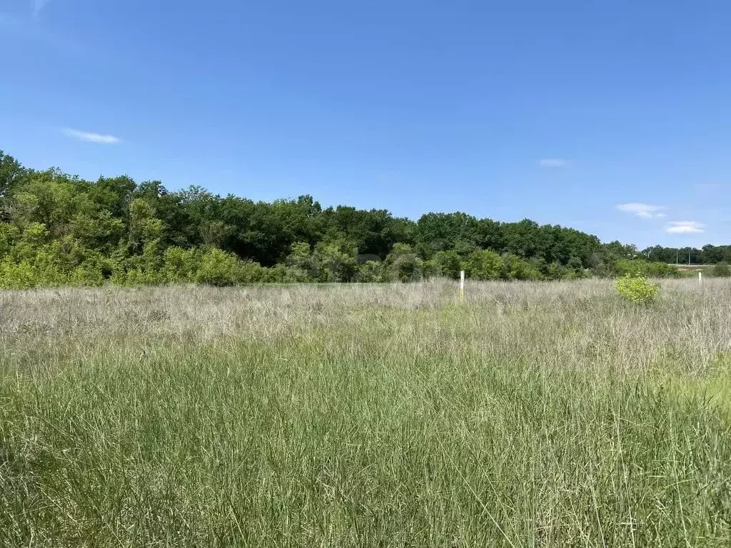 Участок в Белгородская область, Белгородский район, Разумное рп ул. ... - Фото 1