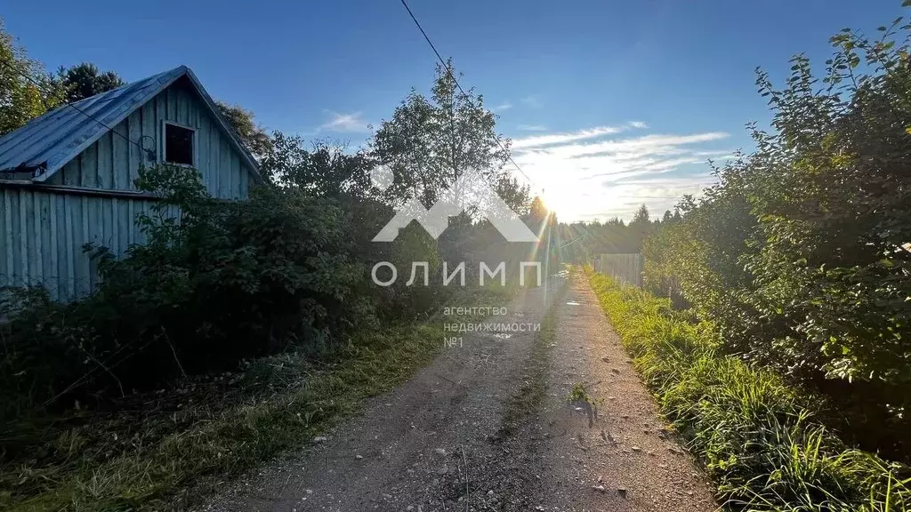Участок в Вологодская область, Лиана садоводческое товарищество  (6.0 ... - Фото 0
