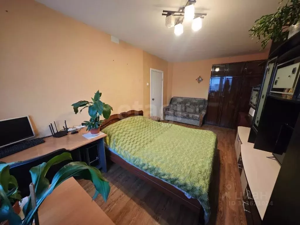 1-к кв. Псковская область, Псков Коммунальная ул., 72 (32.9 м) - Фото 2