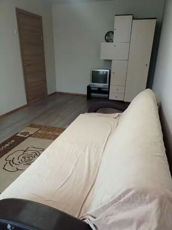 1-к кв. Московская область, Ногинск Богородский городской округ, ул. ... - Фото 2