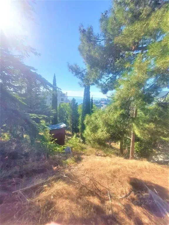 Участок в Крым, Ялта ул. Войкова, 26 (9.0 сот.) - Фото 1