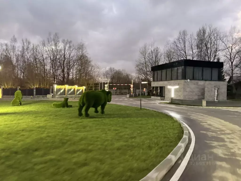 Участок в Московская область, Мытищи городской округ, д. Фелисово ул. ... - Фото 2