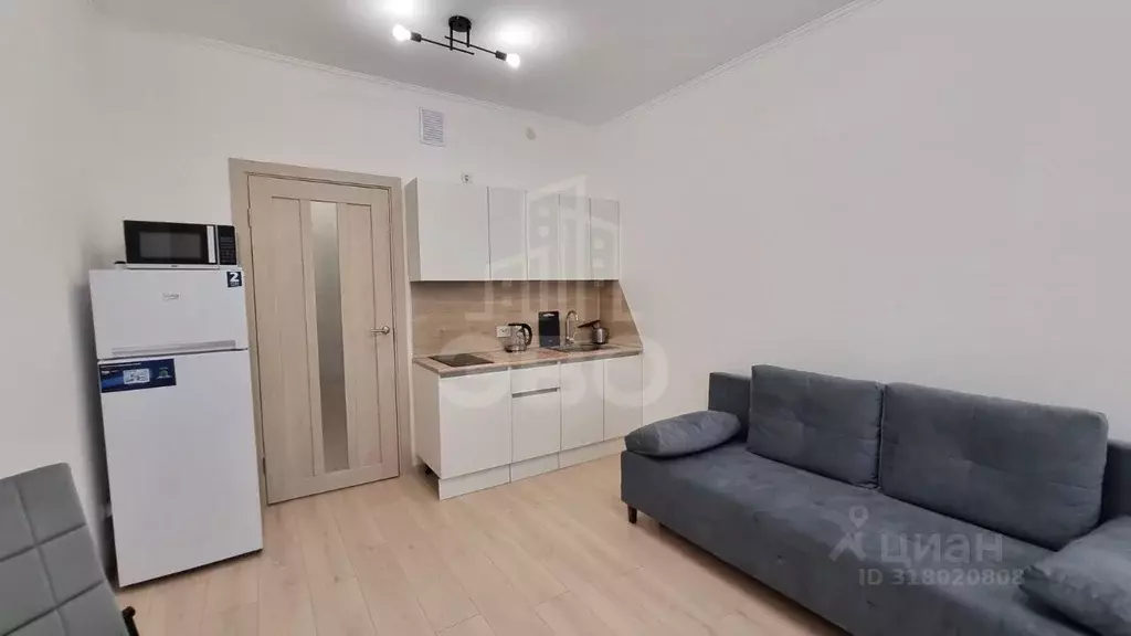 Студия Санкт-Петербург аллея Арцеуловская, 9 (24.0 м) - Фото 1
