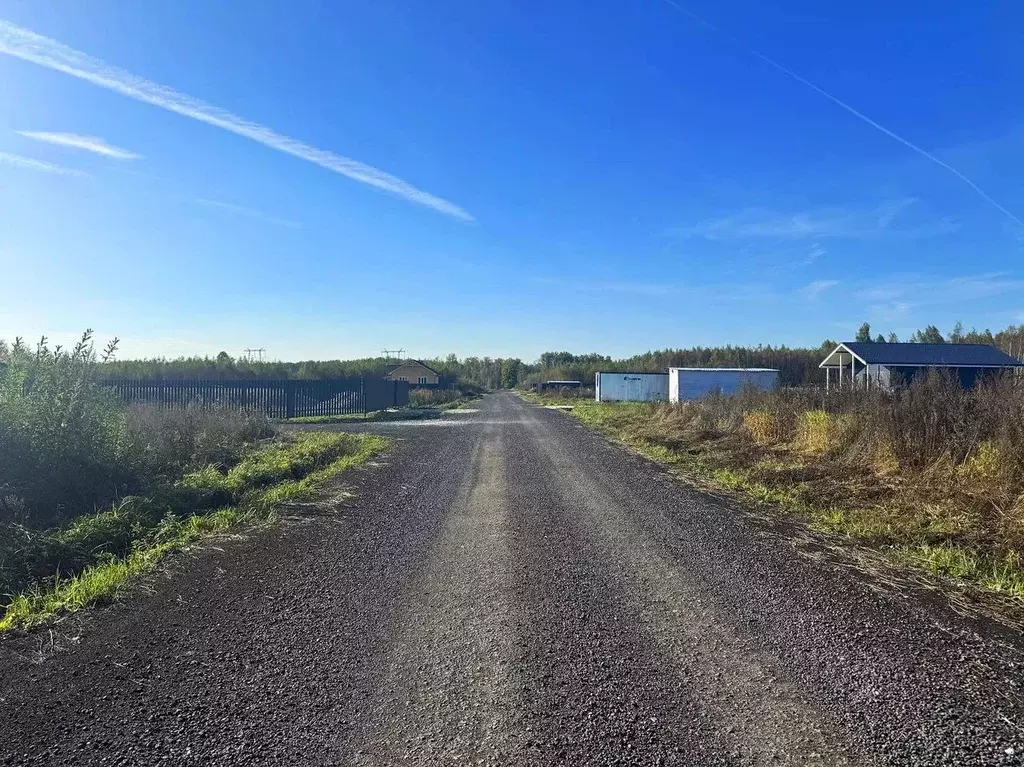 Участок в Московская область, Раменский муниципальный округ, Оттепель ... - Фото 2