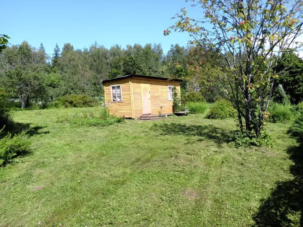 Участок в Московская область, Солнечногорск городской округ, ЗЭМ СНТ 4 ... - Фото 1