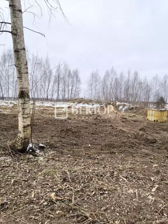 Участок в Ярославская область, Некрасовское с/пос, д. Новые Ченцы  ... - Фото 1