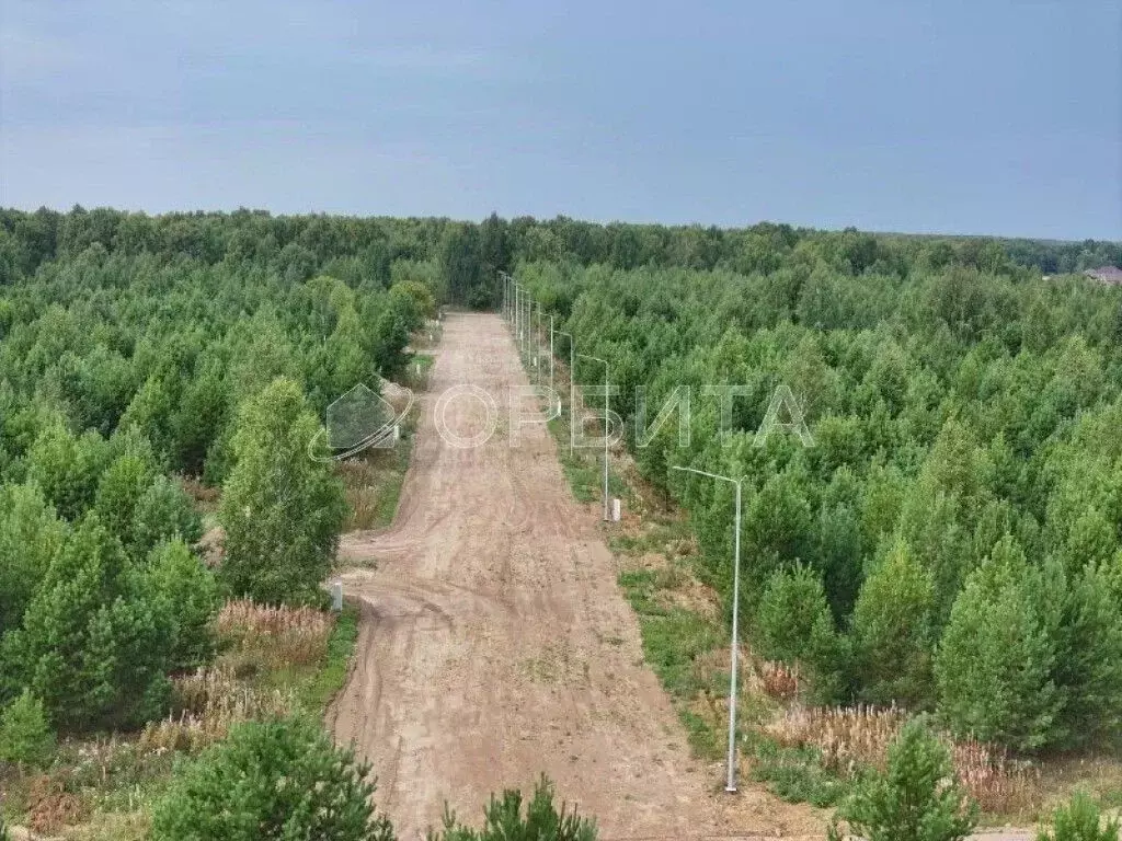 Участок в Тюменская область, Тюменский муниципальный округ, д. ... - Фото 1