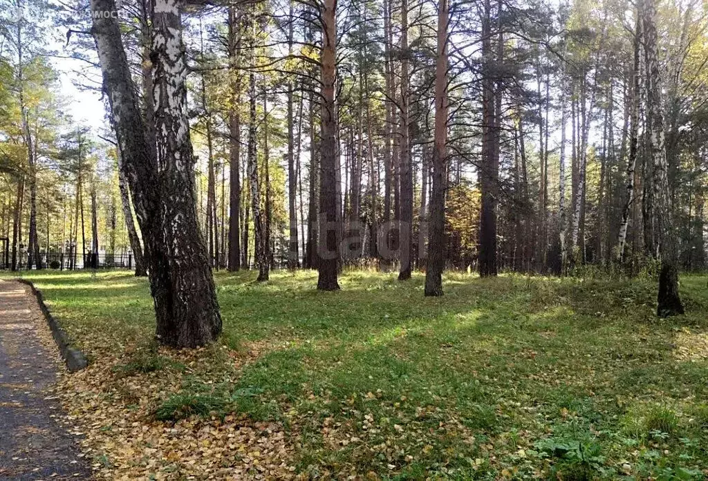 Участок в Мочищенский сельсовет, дачный посёлок Мочище, Снежная улица ... - Фото 2