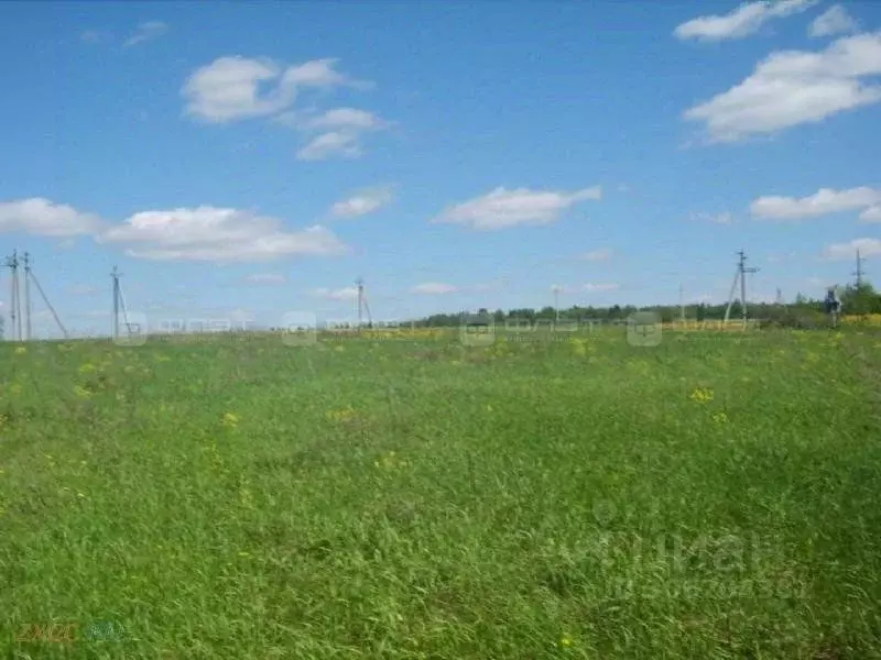 Участок в Татарстан, Высокогорское с/пос, Заря садоводческое ... - Фото 1