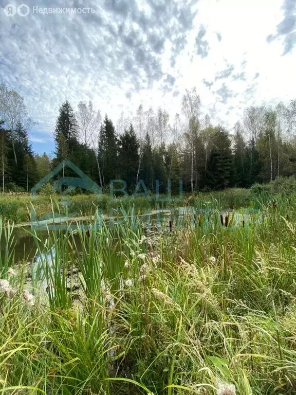 Участок в Калужская область, Боровский муниципальный округ, деревня ... - Фото 1