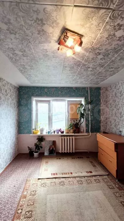 1-к. квартира, 28,5 м, 4/5 эт. - Фото 0