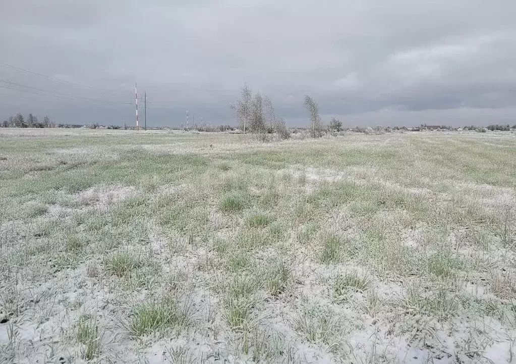 Участок в Тульская область, Щекинский район, Яснополянское с/пос, с. ... - Фото 1