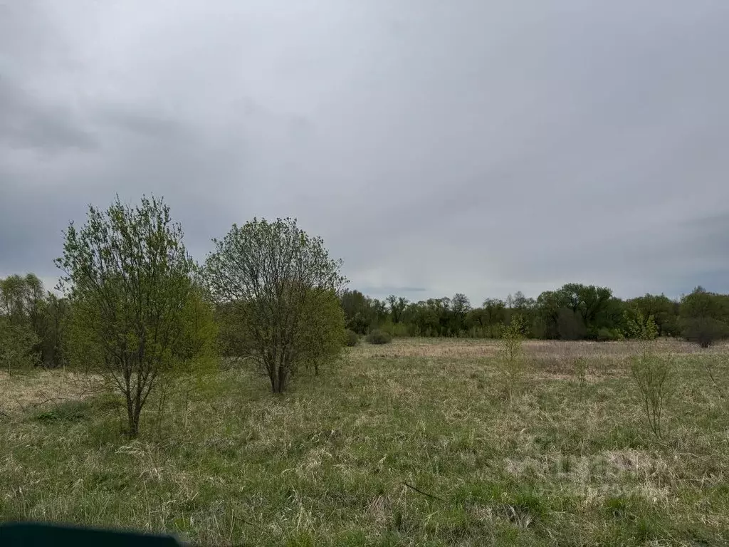 Участок в Москва Победа СНТ, 66 (12.0 сот.) - Фото 2