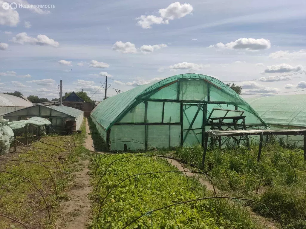 Участок в Октябрьский район, Кривянское сельское поселение, станица ... - Фото 1