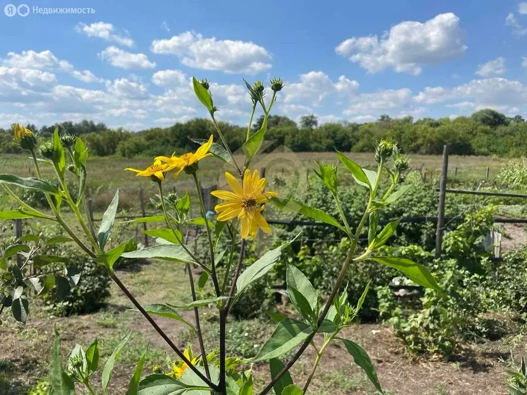 Дом в село Сорокино (134 м) - Фото 2
