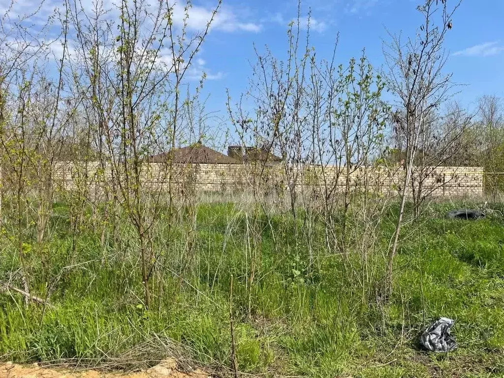 Участок в Ростовская область, Мясниковский район, Красный Крым хут. ... - Фото 2