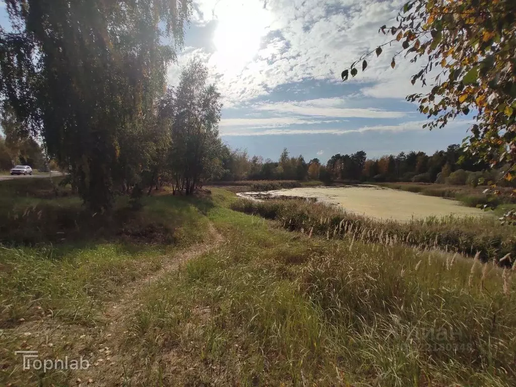 Участок в Калужская область, Дзержинский муниципальный округ, Льва ... - Фото 2