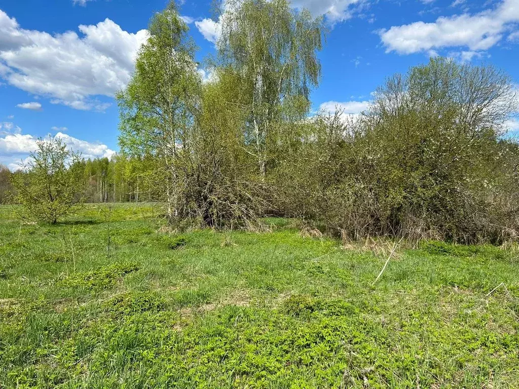 Участок в Тверская область, Кашинский городской округ, д. Апарниково  ... - Фото 1