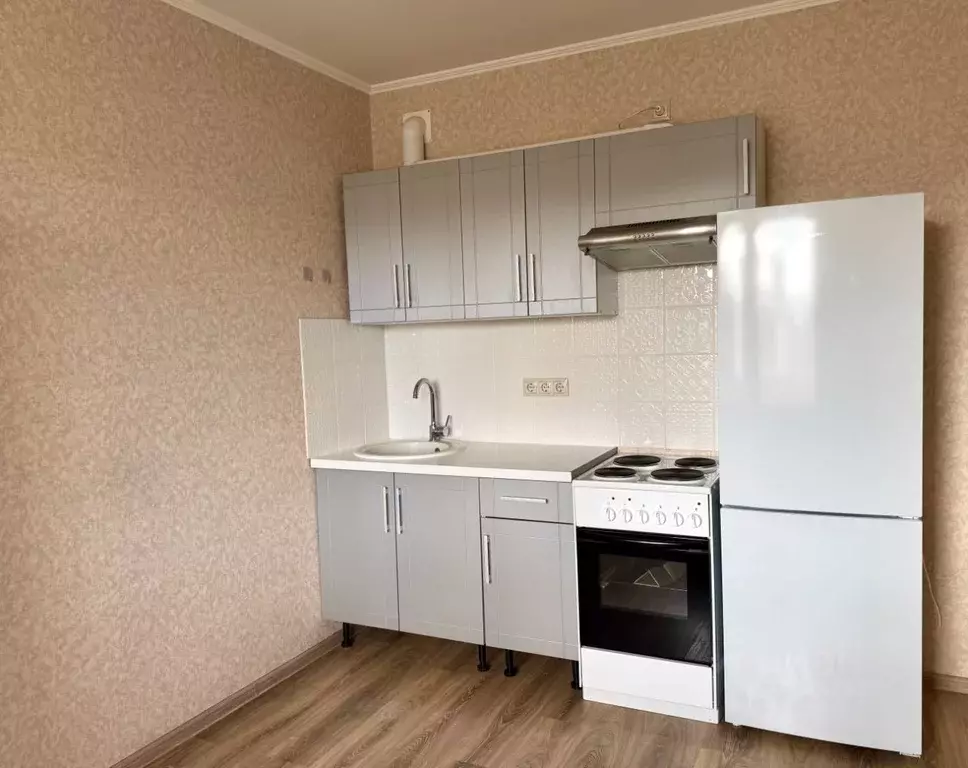 Студия Московская область, Ленинский городской округ, Лопатино пгт ... - Фото 2