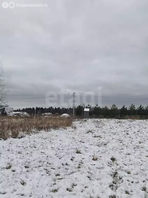 Участок в Красносельский район, Гридинское сельское поселение, деревня ... - Фото 1