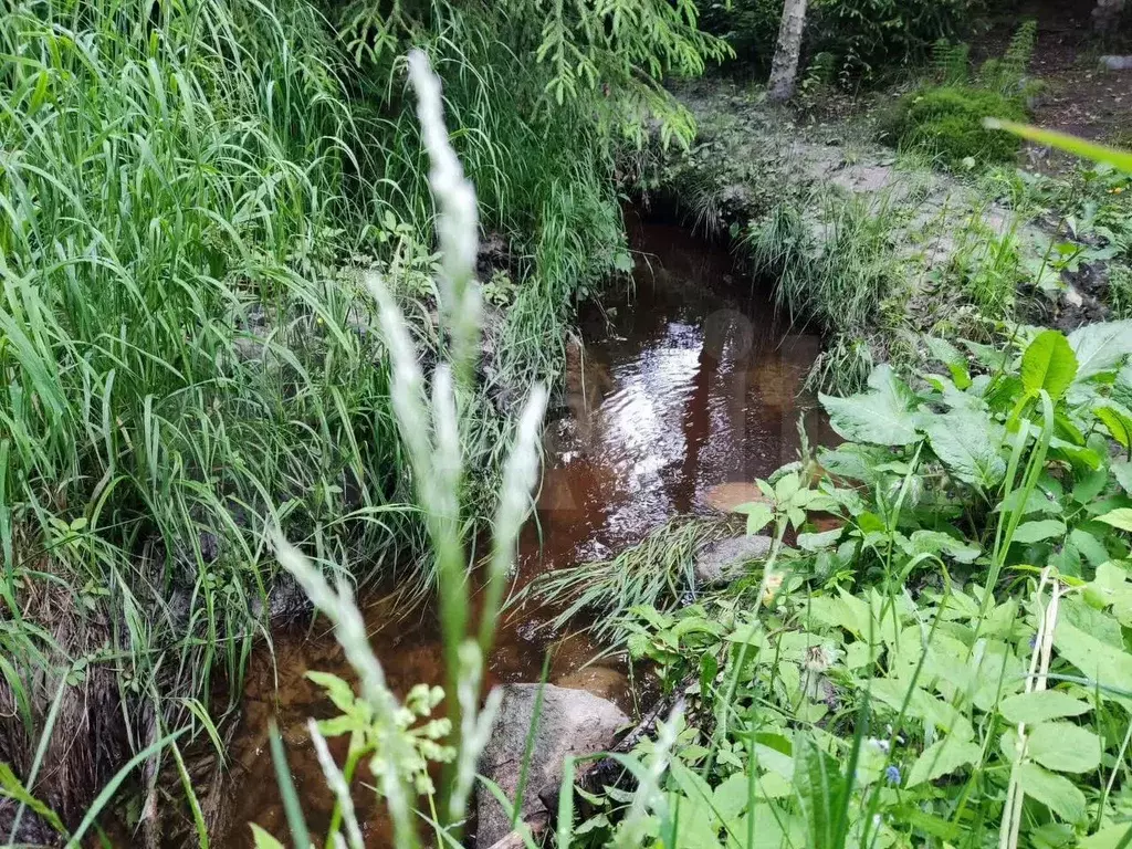 Дача 36 м на участке 6 сот. - Фото 0
