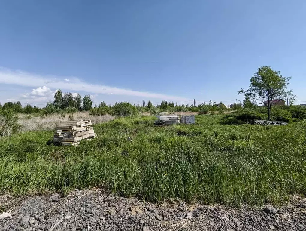 Участок в Тюменская область, Тюмень Факел СНТ, 8-я линия (10.8 сот.) - Фото 0