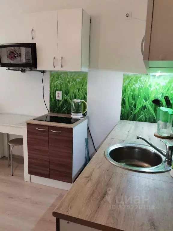 1-к кв. Свердловская область, Екатеринбург ул. Евгения Савкова, 23 ... - Фото 2