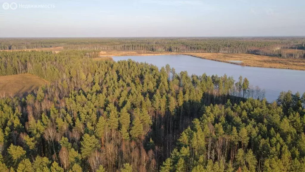 Участок в Владимирская область, Киржачский муниципальный округ, ... - Фото 1