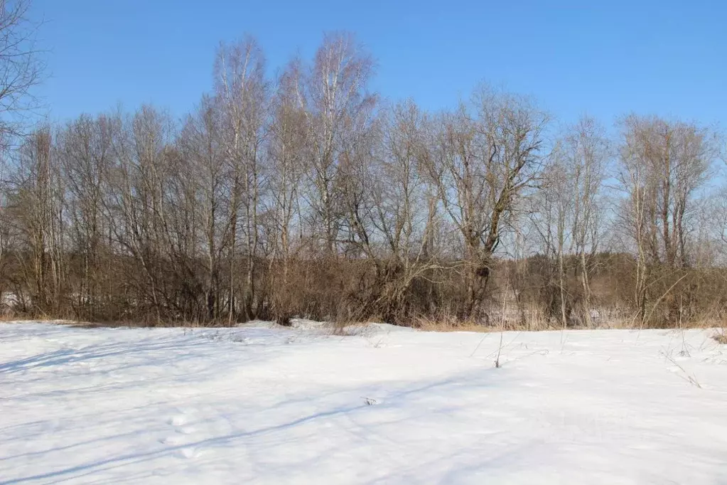 Участок в Московская область, Шаховская муниципальный округ, д. ... - Фото 2