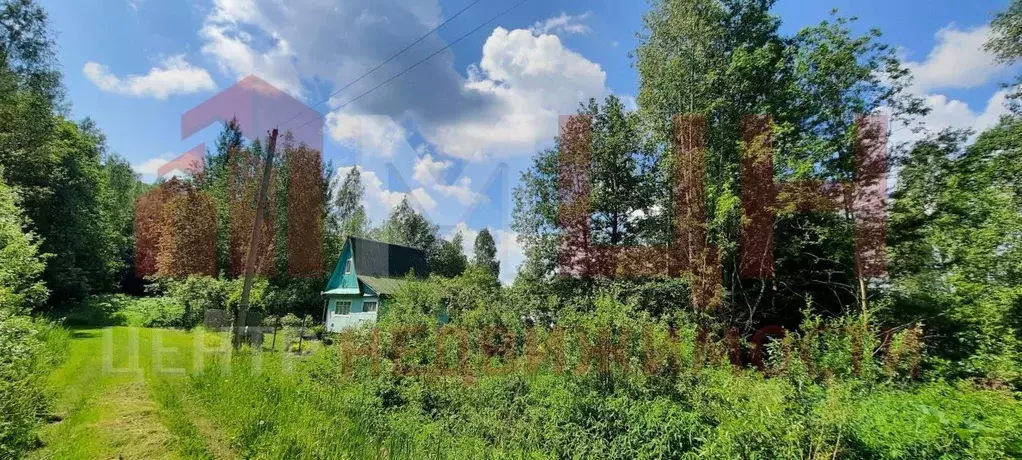 Участок в Тверская область, Конаковский муниципальный округ, Заречье ... - Фото 0