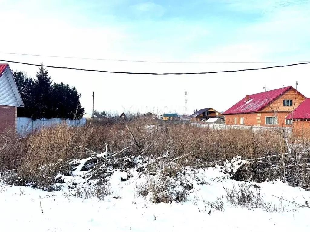 Участок в Новосибирская область, Новосибирский район, Боровской ... - Фото 0