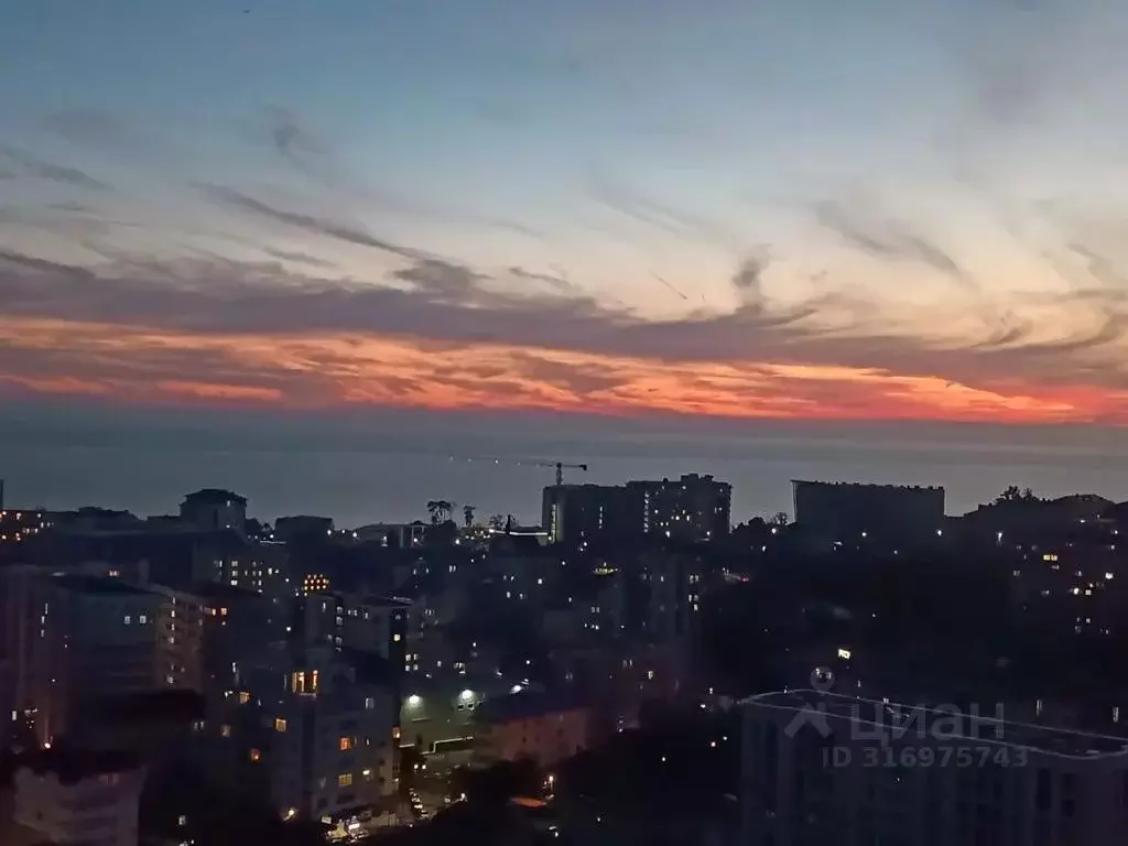 Студия Краснодарский край, Сочи Виноградная ул., 238Г (28.0 м) - Фото 0