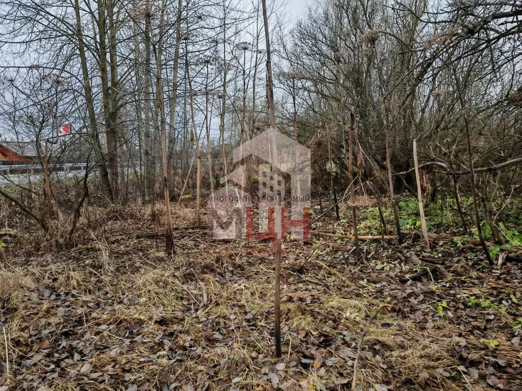 Участок в Тверская область, Конаковский муниципальный округ, д. ... - Фото 2