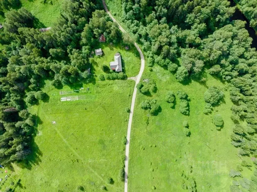 Дом в Карелия, Питкярантский муниципальный округ, д. Ряймяля  (134 м) - Фото 1