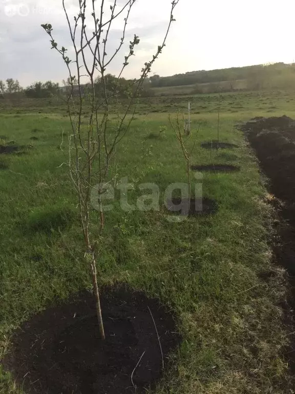 Участок в Республика Мордовия, городской округ Саранск, посёлок ... - Фото 1