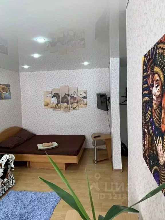 1-к кв. Тюменская область, Ишим ул. Суворова, 41 (30.0 м) - Фото 0