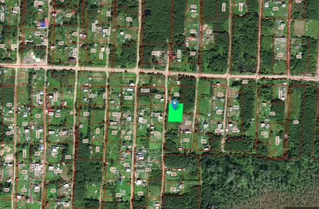 Участок в Ленинградская область, Бокситогорский район, Самойловское ... - Фото 1