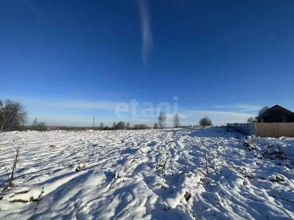 Участок в Владимирская область, Ковровский район, Новосельское с/пос, ... - Фото 2