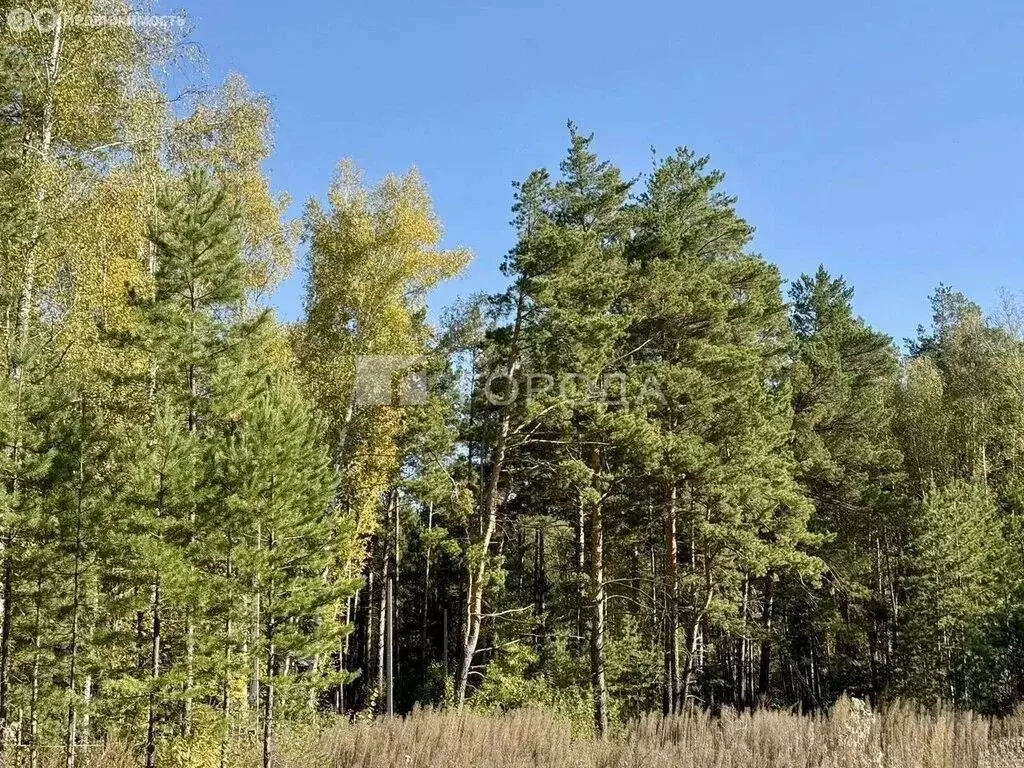 Участок в село Бобровка, Партизанская улица (20.24 м) - Фото 2