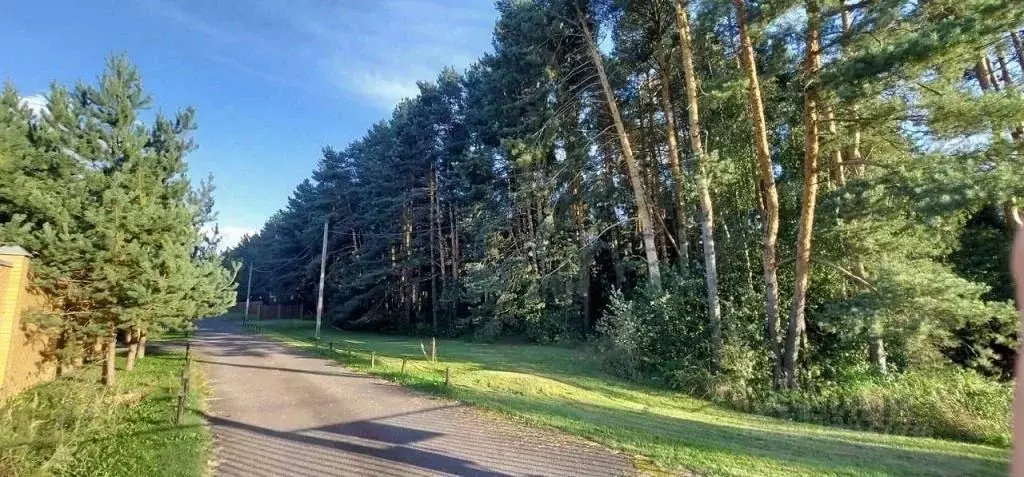 Участок в Московская область, Одинцовский городской округ, с. ... - Фото 2