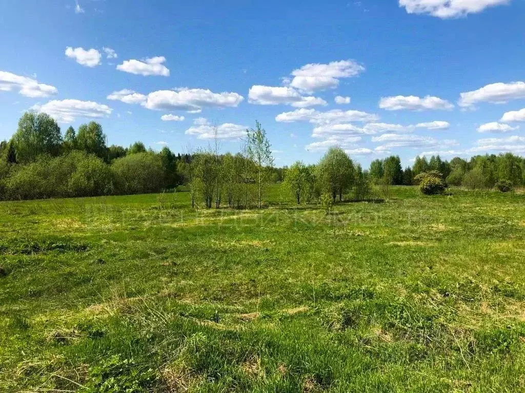 Участок в Кировская область, Орловский район, д. Большие Ждановы . - Фото 1
