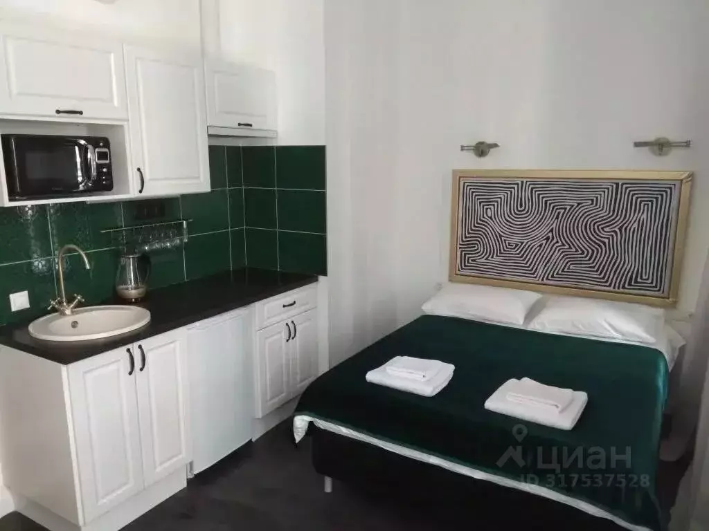 1-к кв. Санкт-Петербург Орловский пер., 3 (17.0 м) - Фото 1