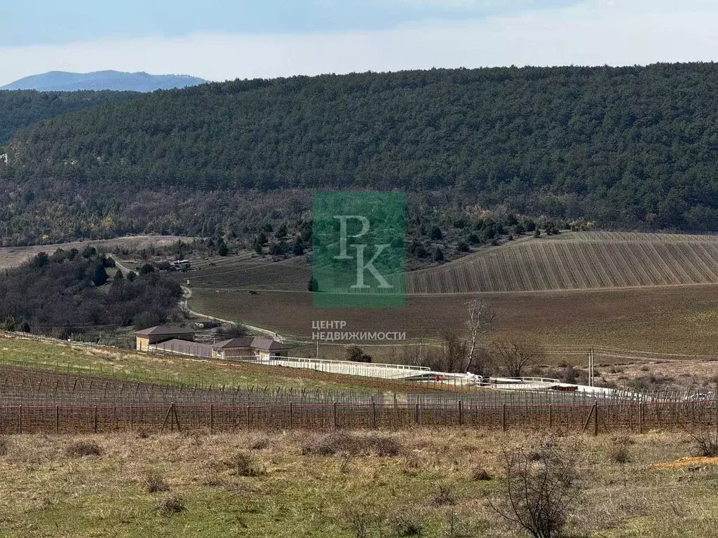 Участок в Севастополь с. Родное,  (8.0 сот.) - Фото 1