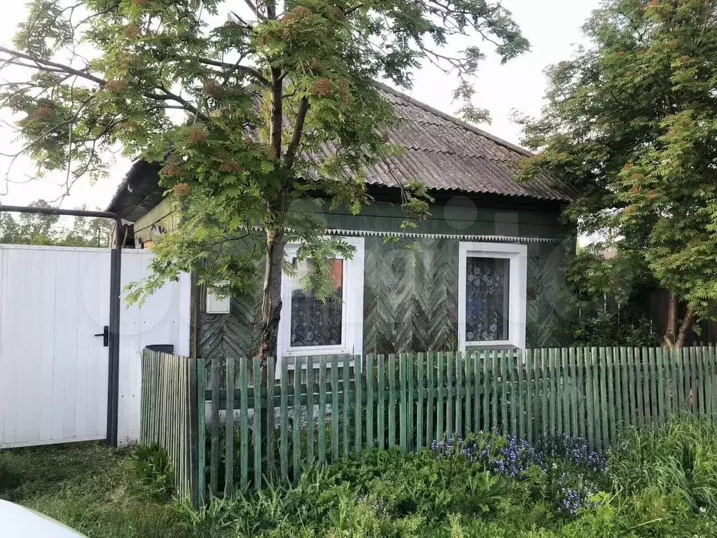 Дом 35,4 м на участке 4,5 сот. - Фото 0