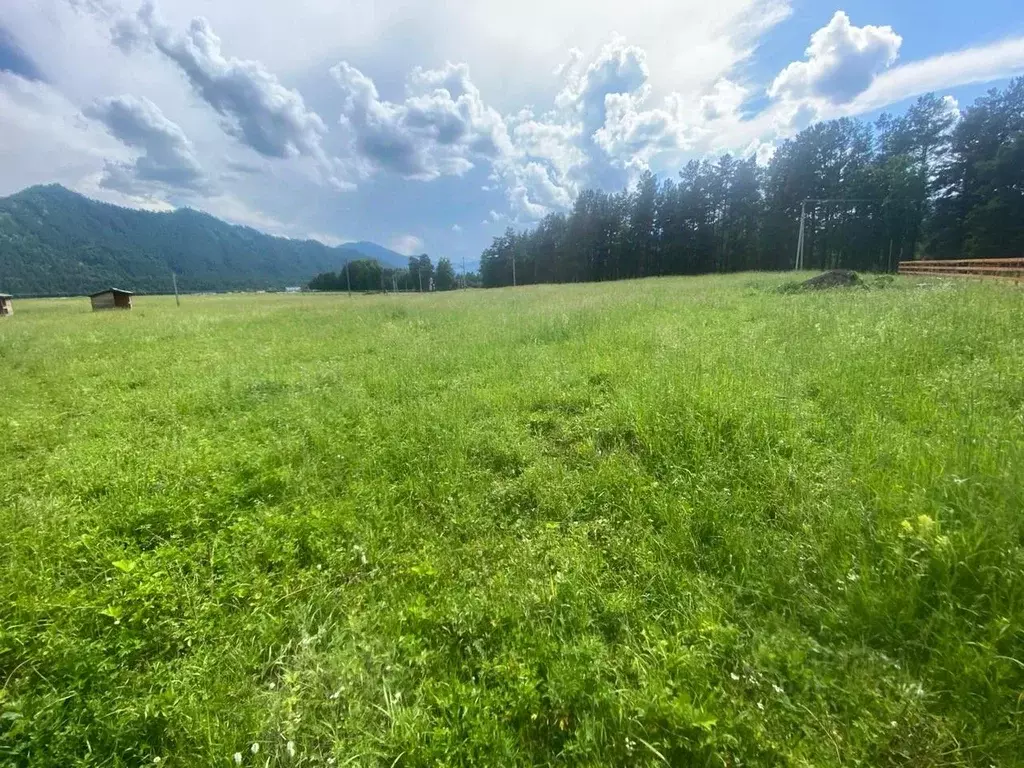 Участок в Алтай, Чемальский район, с. Чепош  (51.0 сот.) - Фото 1