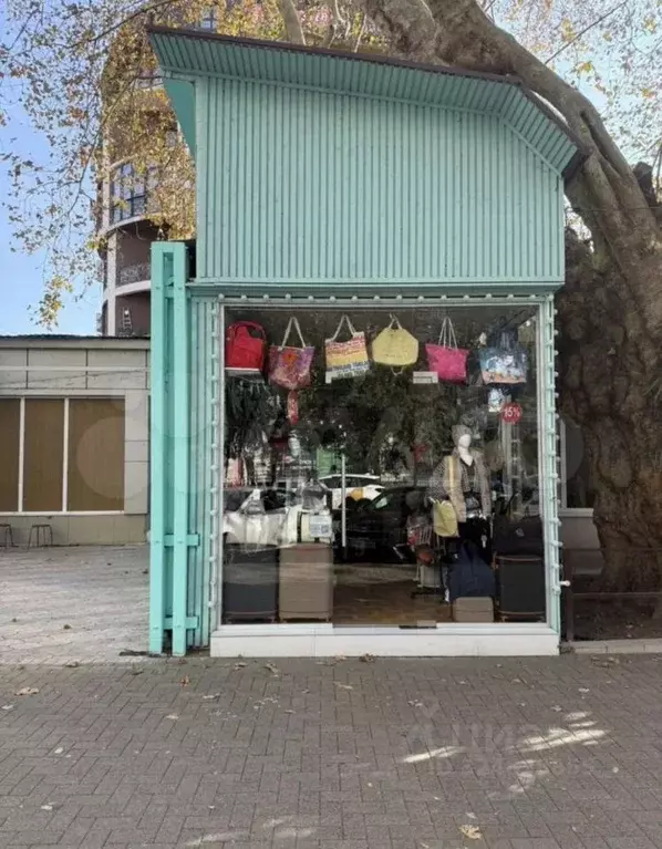 Торговая площадь в Краснодарский край, Сочи ул. Демократическая (19 м) - Фото 1