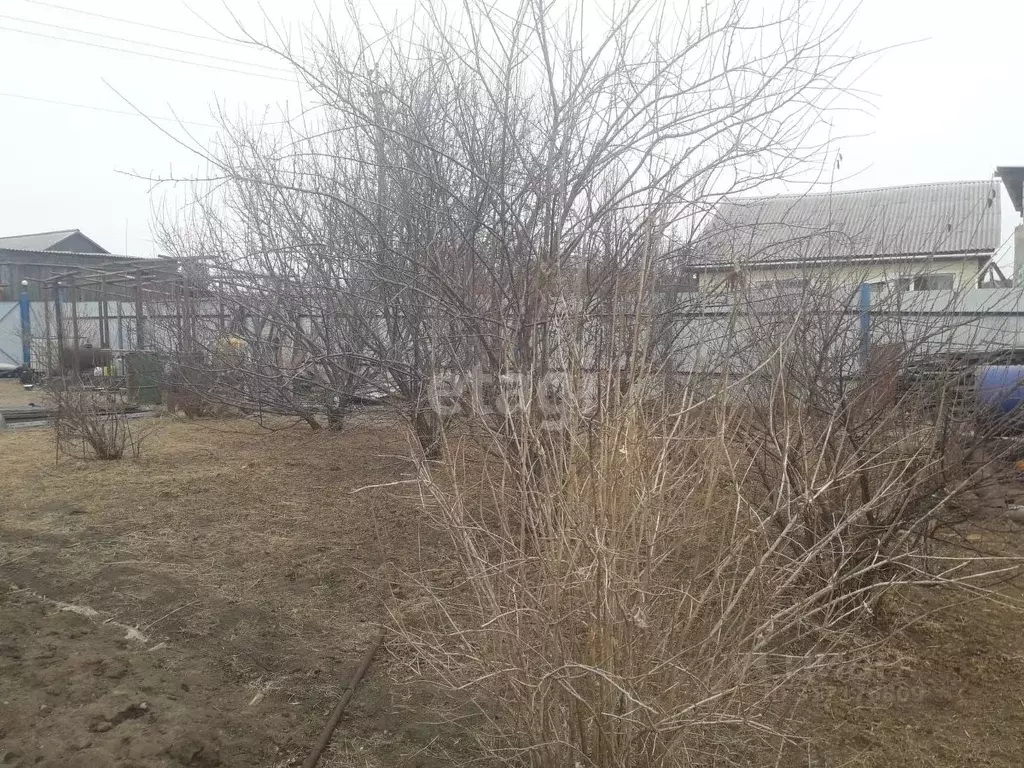 Участок в Амурская область, Свободный Продольная ул. (30.6 сот.) - Фото 1