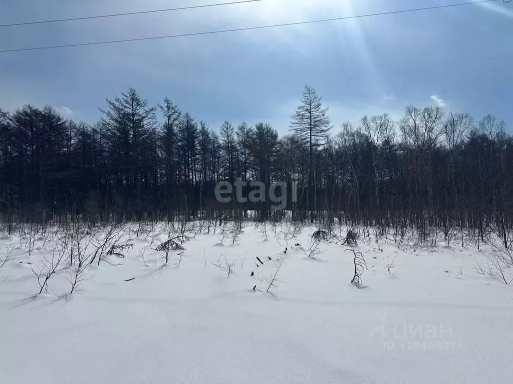 Участок в Сахалинская область, Анивский городской округ, с. Мицулевка  ... - Фото 0