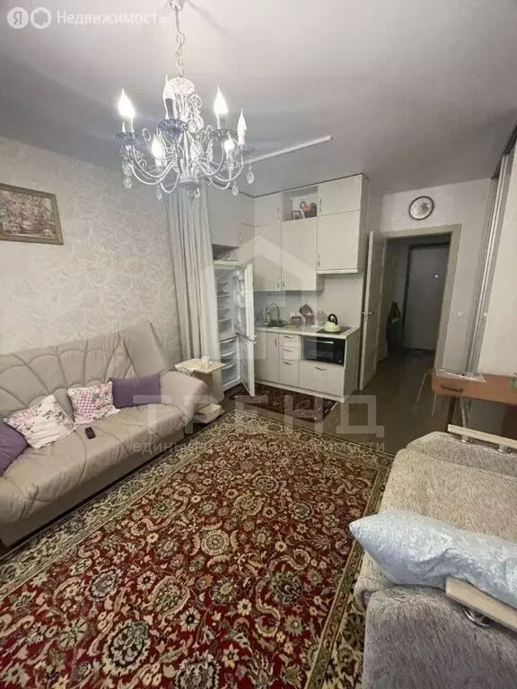 Квартира-студия: Санкт-Петербург, проспект Ветеранов, 171к5 (24 м) - Фото 1