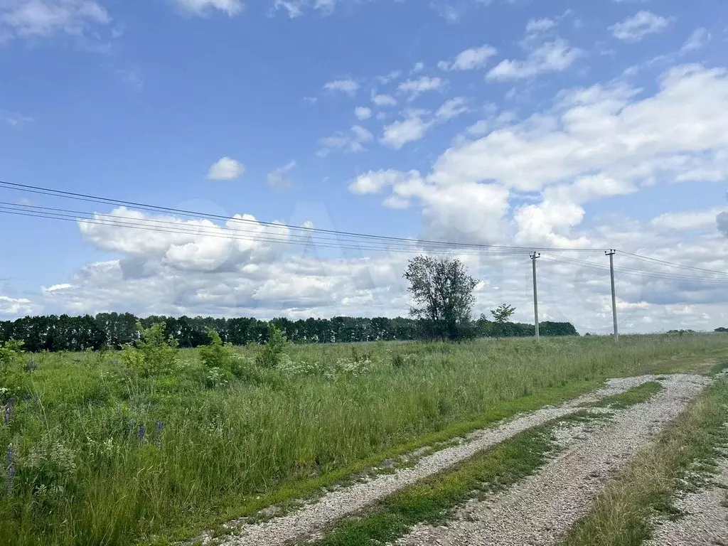 Участок 10 сот. (ИЖС) - Фото 0
